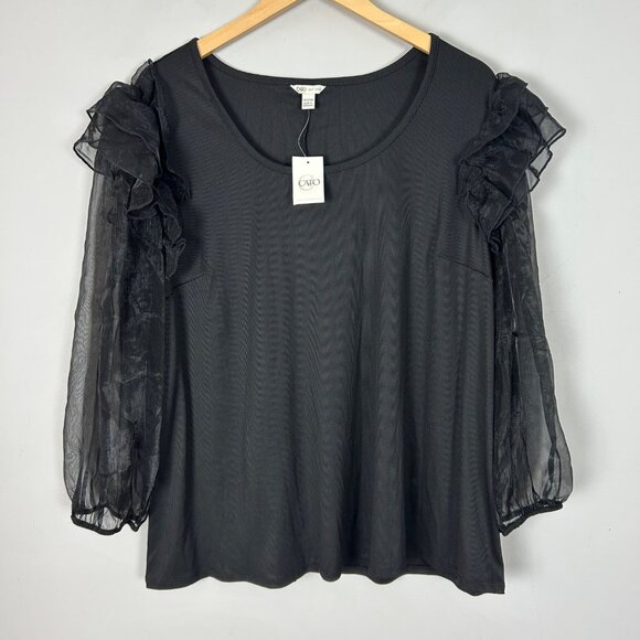 NEW Boho Fairy Long Sleeve Top Sheer Mesh Sleeves with Ruffles Size 18/20W Women - Picture 1 of 4